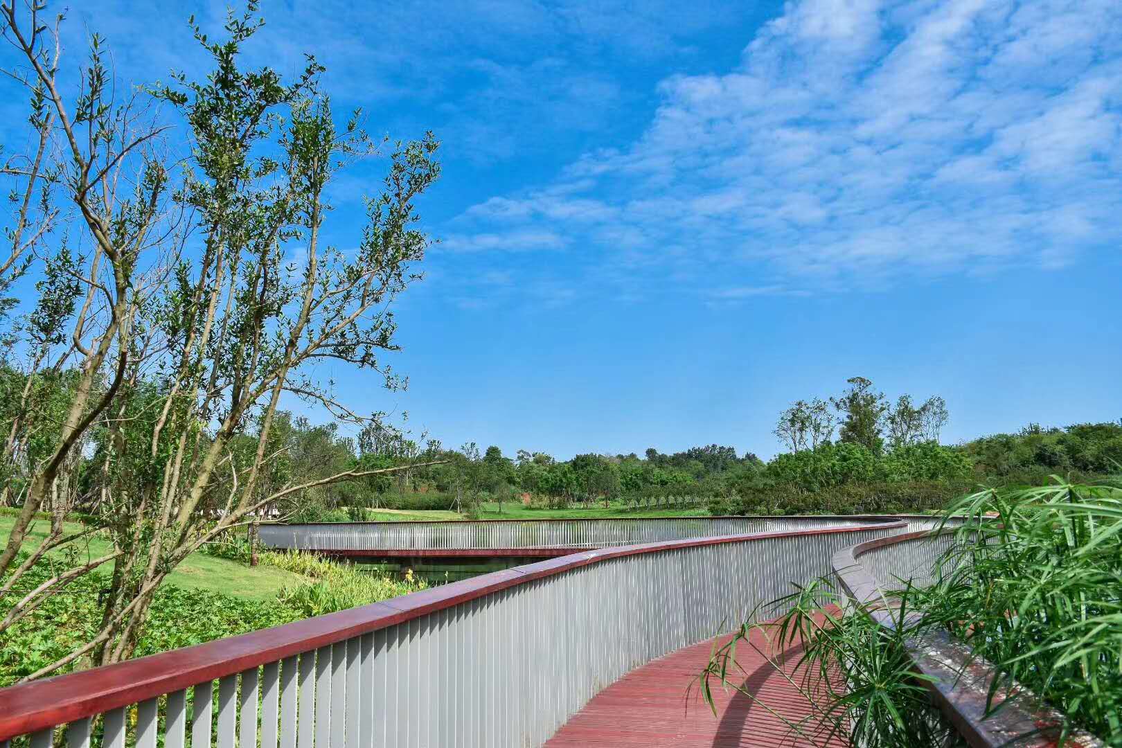 楊溪濕地公園